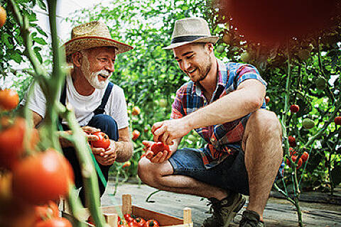 Proč si zamilovat zahradničení?